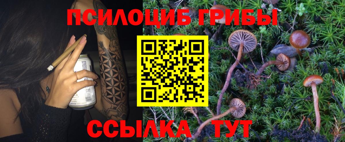 Галлюциногенные грибы Magic Shrooms  Вход с VPN  что такое   Псилоцибиновые грибы мухоморы  Новоалтайск 